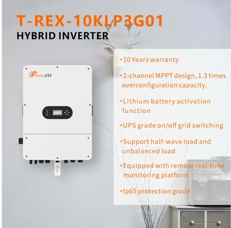 T-rex 10K海报图