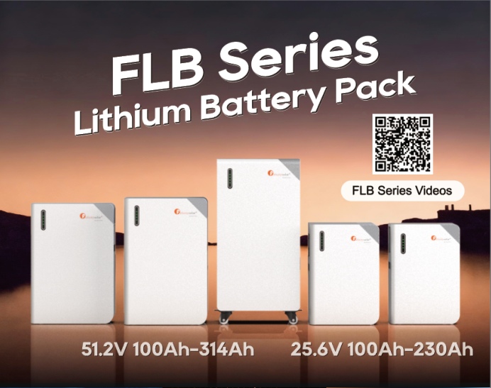 Lithium Ion Battery Supplier